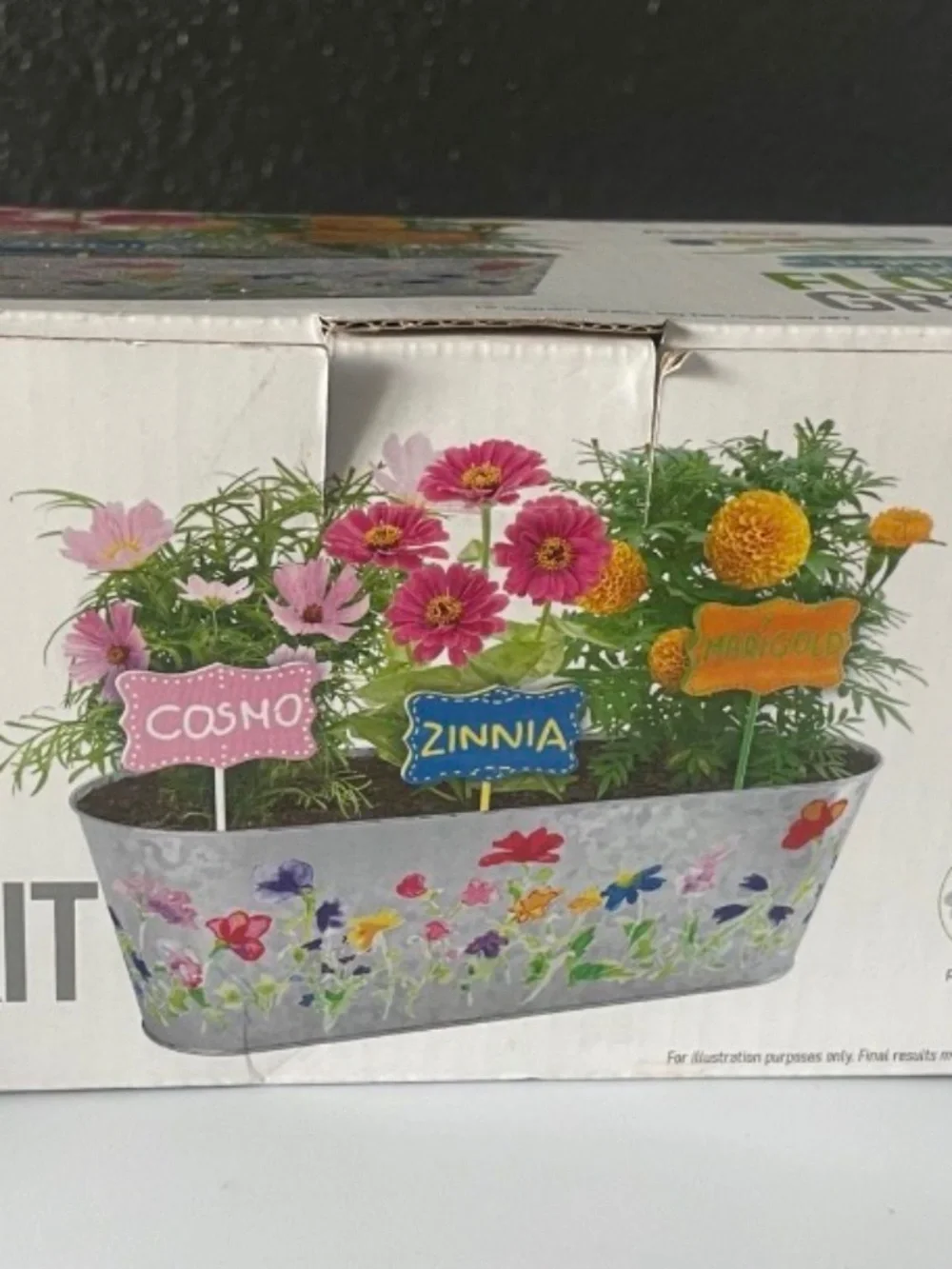 Dan & Darci Paint And Plant Flower Growing Kit, New